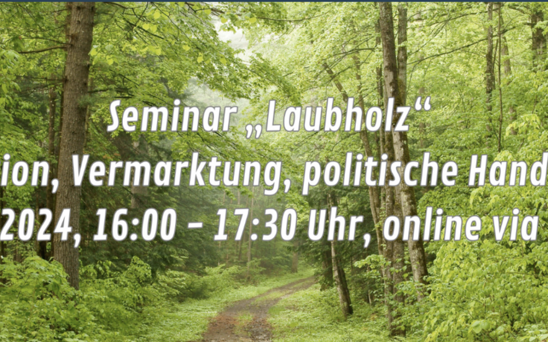 Web-Seminar Laubholzgespräch