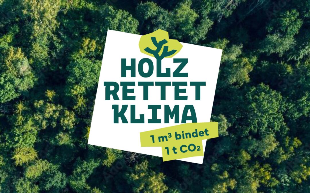 Karriere trifft Klimaschutz: Holz- und Forstwirtschaft laden zu Aktionstagen ein