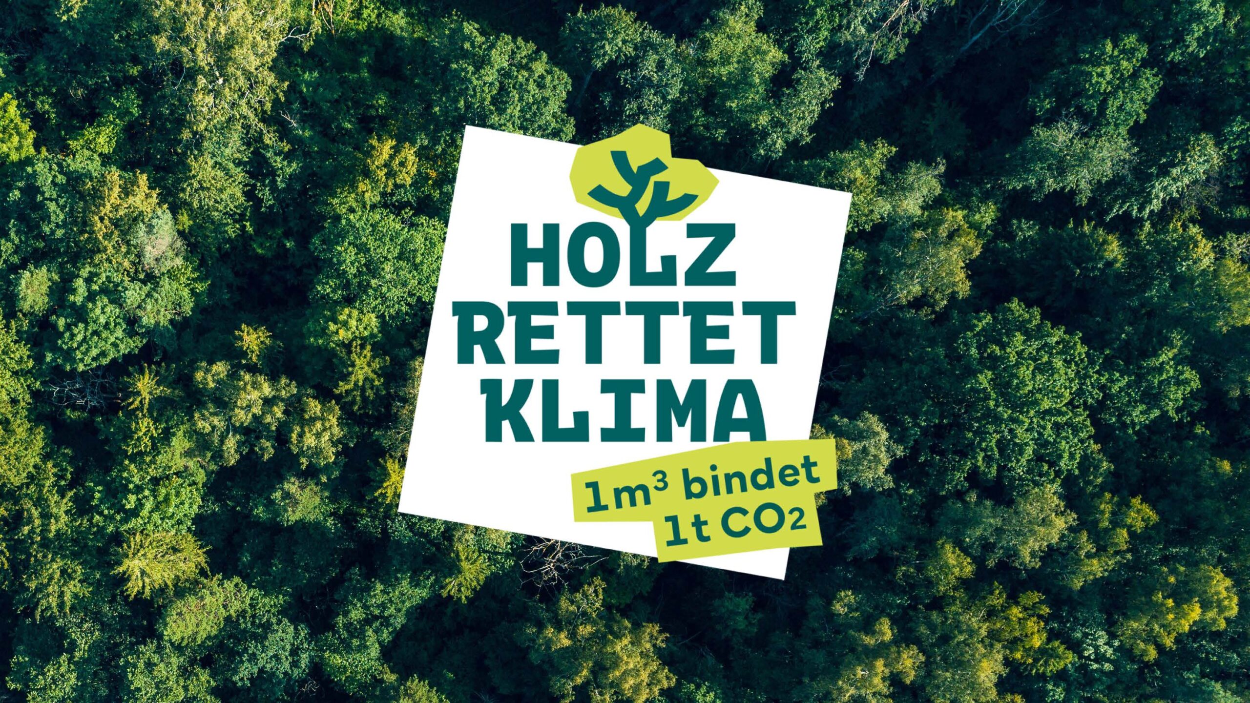 Holz rettet Klima: Mitmachen bei den bundesweiten Aktionstagen 2025
