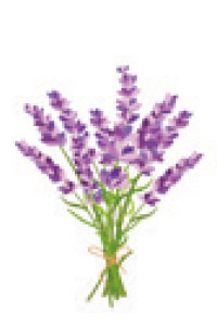 VOC aus natürlichen Quellen findet sich auch in Lavendel.