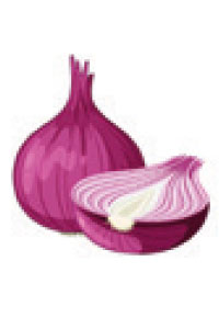 VOC aus natürlichen Quellen findet sich auch in Zwiebeln.