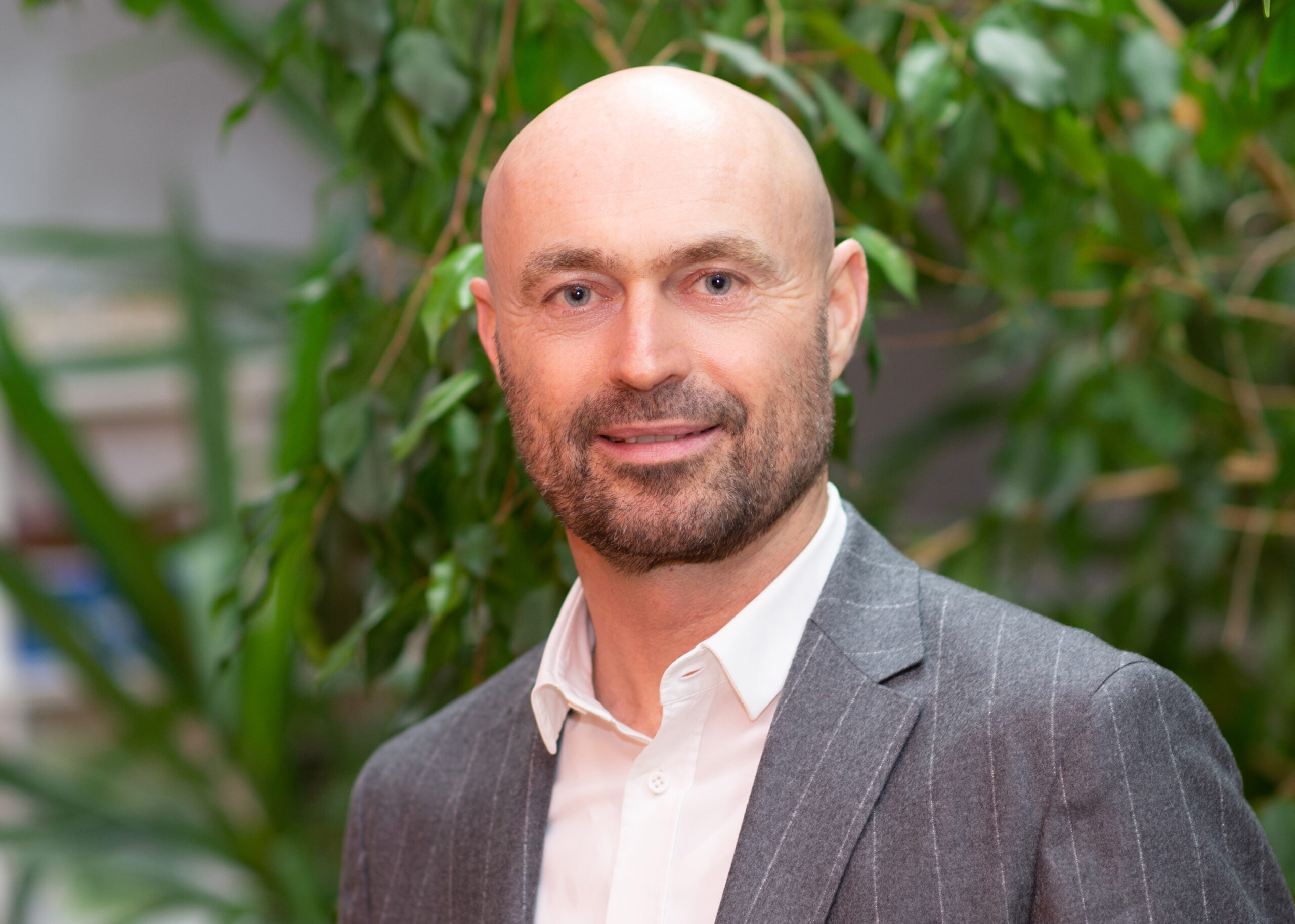 Jörn Kimmich wird Präsident des Deutschen Holzwirtschaftsrates (DHWR)