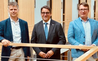 Kürzungen bei der Holzforschung: DHWR erhöht den Druck im Bundestag